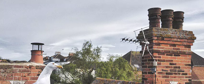 Chimney Cleaning And Restoration in Fort Smith, Arkansas
