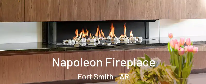  Napoleon Fireplace Fort Smith - AR